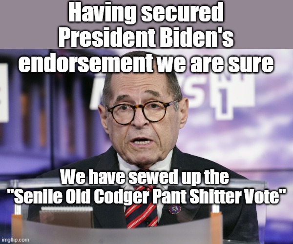 Nadler courts his true constituency | Having secured President Biden's endorsement we are sure; We have sewed up the 
"Senile Old Codger Pant Shitter Vote" | image tagged in country of disgusting old men | made w/ Imgflip meme maker