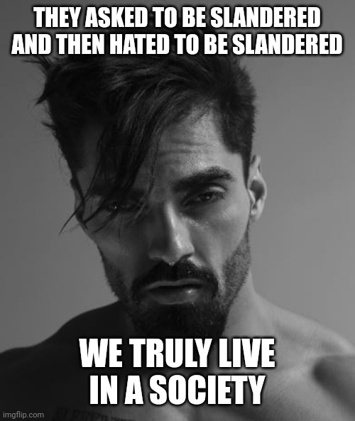 THEY ASKED TO BE SLANDERED AND THEN HATED TO BE SLANDERED; WE TRULY LIVE IN A SOCIETY | made w/ Imgflip meme maker