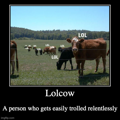 Lolcow | image tagged in funny,demotivationals,cow | made w/ Imgflip demotivational maker