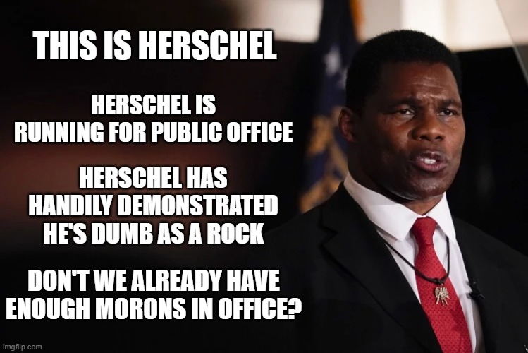 Election day is coming. | THIS IS HERSCHEL; HERSCHEL IS RUNNING FOR PUBLIC OFFICE; HERSCHEL HAS HANDILY DEMONSTRATED HE'S DUMB AS A ROCK; DON'T WE ALREADY HAVE ENOUGH MORONS IN OFFICE? | image tagged in herschel walker clueless | made w/ Imgflip meme maker