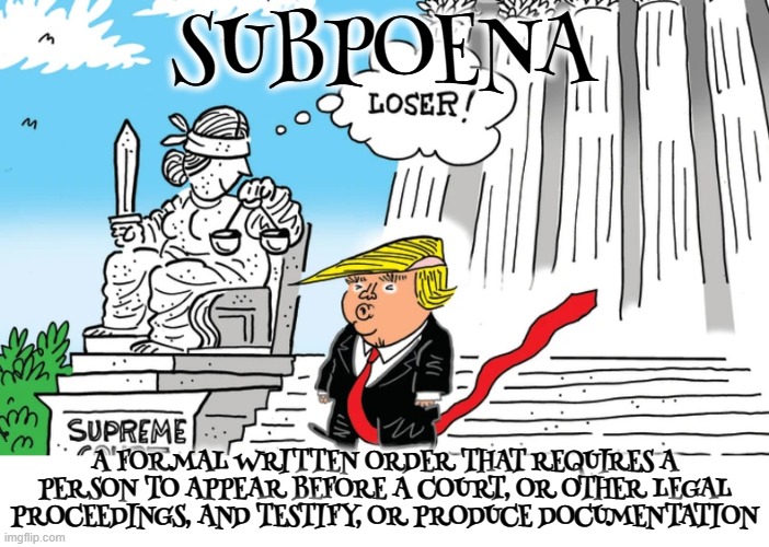 SUBPOENA | SUBPOENA; A FORMAL WRITTEN ORDER THAT REQUIRES A PERSON TO APPEAR BEFORE A COURT, OR OTHER LEGAL PROCEEDINGS, AND TESTIFY, OR PRODUCE DOCUMENTATION | image tagged in subpoena,legal,court,appear,testify,order | made w/ Imgflip meme maker