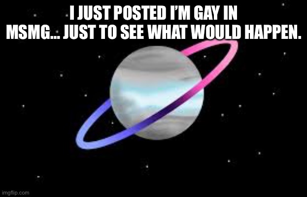 Bc why not | I JUST POSTED I’M GAY IN MSMG… JUST TO SEE WHAT WOULD HAPPEN. | image tagged in omnidemiflag q-bert announcement | made w/ Imgflip meme maker