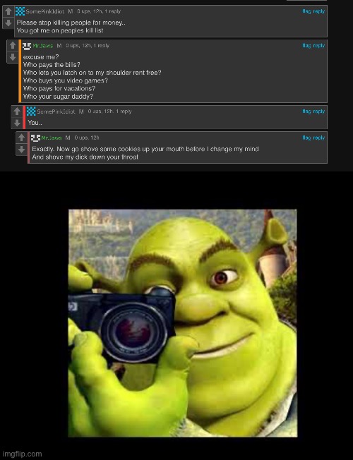 image tagged in shrek taking a photo meme | made w/ Imgflip meme maker