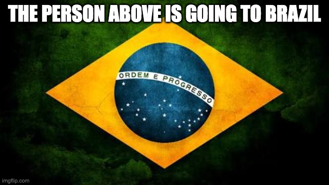 Brazil flag | THE PERSON ABOVE IS GOING TO BRAZIL | image tagged in brazil flag | made w/ Imgflip meme maker