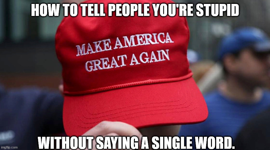 Just wearing one speaks volumes. | HOW TO TELL PEOPLE YOU'RE STUPID; WITHOUT SAYING A SINGLE WORD. | image tagged in gullible magats,magat idiocracy | made w/ Imgflip meme maker
