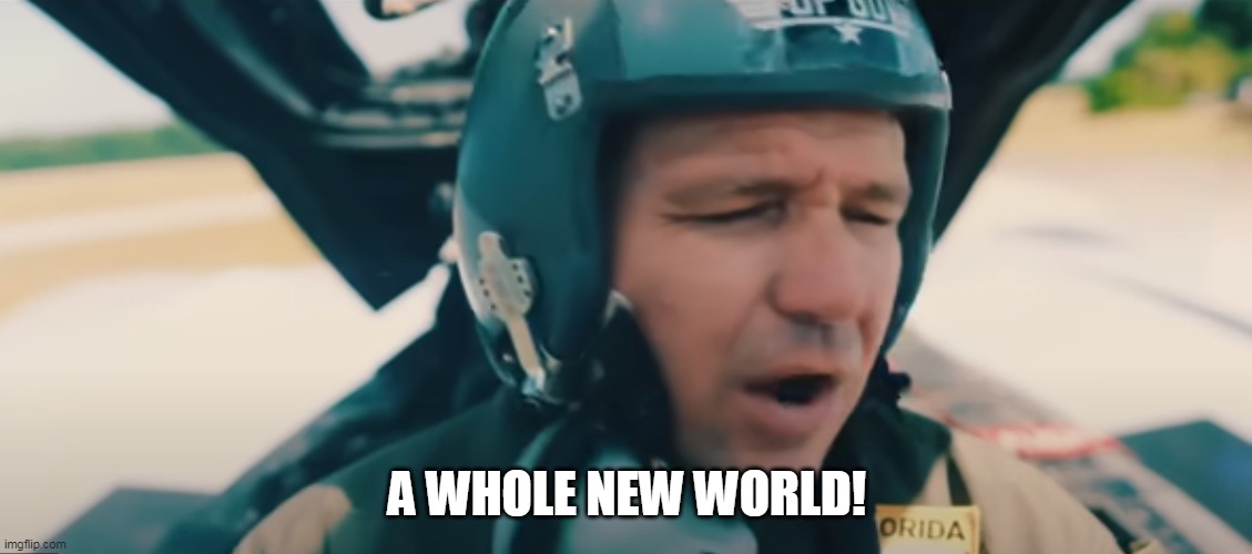 A whole new world! | A WHOLE NEW WORLD! | image tagged in fighting desantis | made w/ Imgflip meme maker