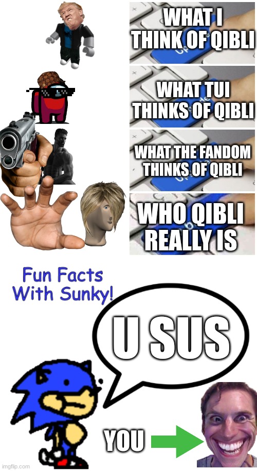 Whom is Qibli | WHAT I THINK OF QIBLI; WHAT TUI THINKS OF QIBLI; WHAT THE FANDOM THINKS OF QIBLI; WHO QIBLI REALLY IS; U SUS; YOU | image tagged in upgrade,fun facts with sunky,wings of fire | made w/ Imgflip meme maker