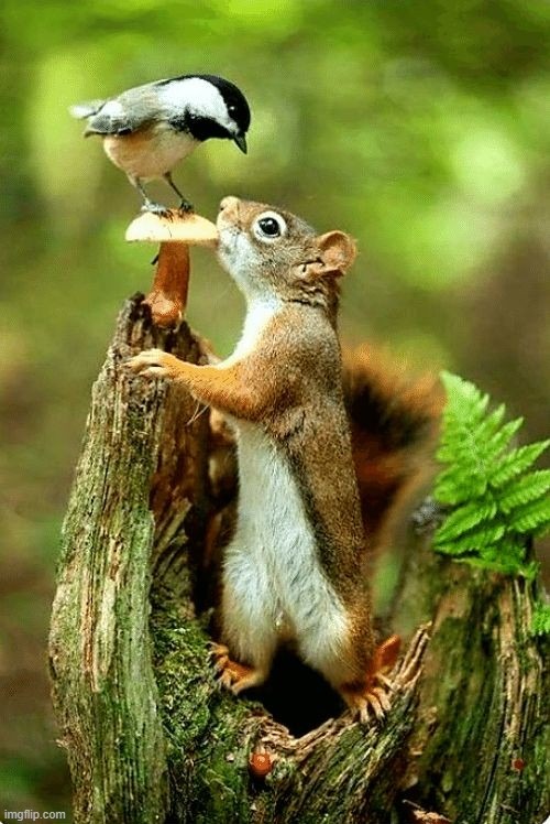 image tagged in awesome | made w/ Imgflip meme maker