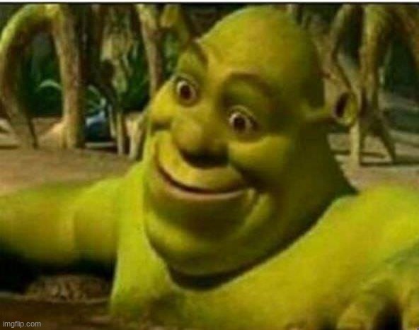 Sherk amazed | image tagged in sherk amazed | made w/ Imgflip meme maker