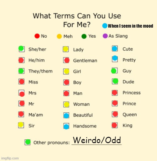just sayin' | When I seem in the mood; Weirdo/Odd | image tagged in pronouns sheet | made w/ Imgflip meme maker