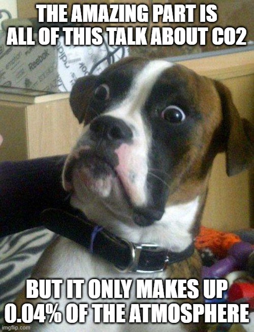 Blankie the Shocked Dog | THE AMAZING PART IS ALL OF THIS TALK ABOUT CO2 BUT IT ONLY MAKES UP 0.04% OF THE ATMOSPHERE | image tagged in blankie the shocked dog | made w/ Imgflip meme maker