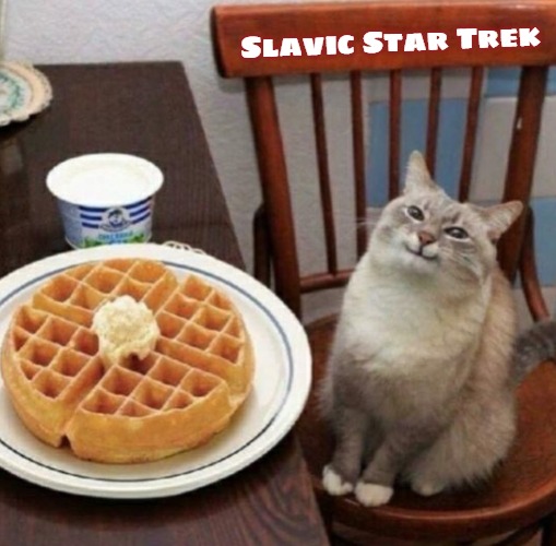 Cat likes their waffle | Slavic Star Trek | image tagged in cat likes their waffle,slavic star trek,slavic,star trek | made w/ Imgflip meme maker