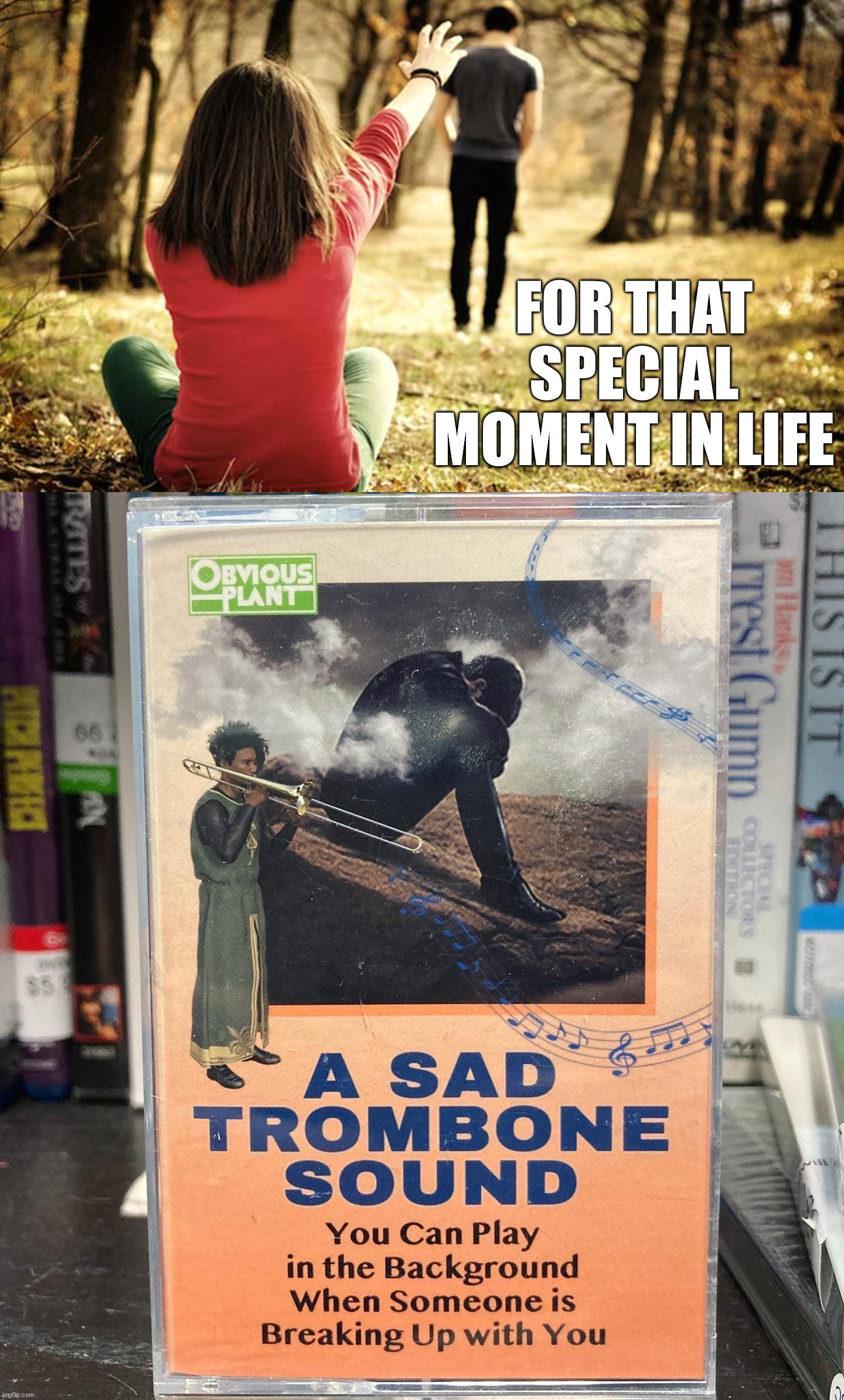 FOR THAT SPECIAL MOMENT IN LIFE | image tagged in breakup,fake | made w/ Imgflip meme maker
