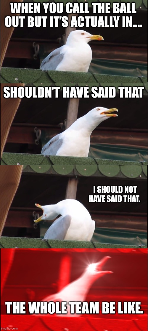 Inhaling Seagull | WHEN YOU CALL THE BALL OUT BUT IT’S ACTUALLY IN…. SHOULDN’T HAVE SAID THAT; I SHOULD NOT HAVE SAID THAT. THE WHOLE TEAM BE LIKE. | image tagged in memes,inhaling seagull | made w/ Imgflip meme maker