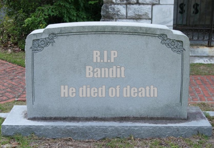 Gravestone | R.I.P
Bandit He died of death | image tagged in gravestone | made w/ Imgflip meme maker