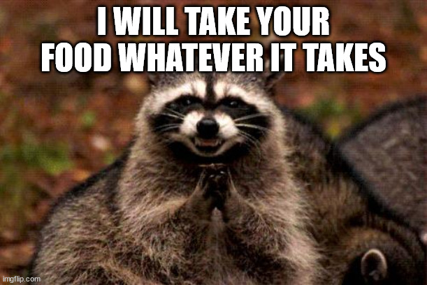 Evil Plotting Raccoon | I WILL TAKE YOUR FOOD WHATEVER IT TAKES | image tagged in memes,evil plotting raccoon | made w/ Imgflip meme maker
