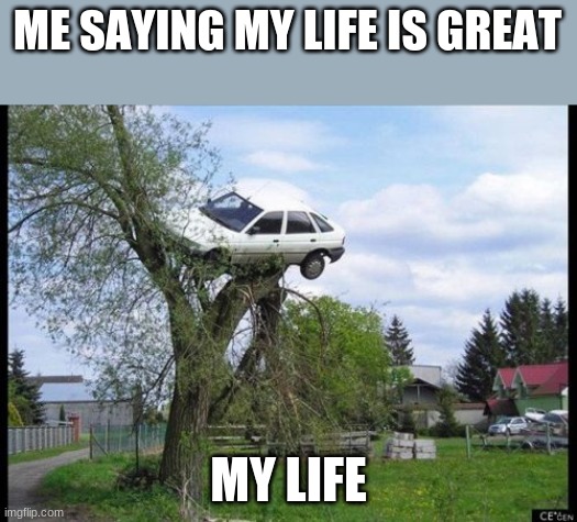 Secure Parking | ME SAYING MY LIFE IS GREAT; MY LIFE | image tagged in memes,secure parking | made w/ Imgflip meme maker