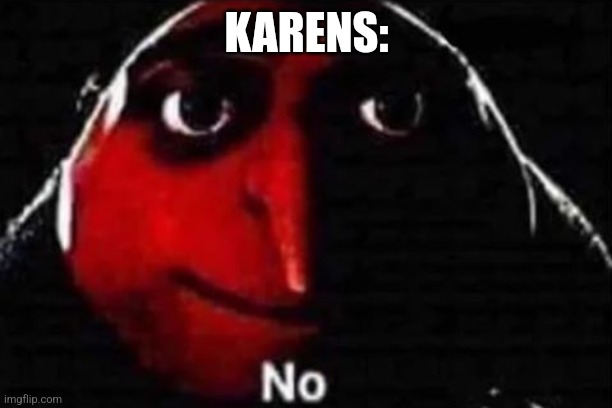 No gru meme | KARENS: | image tagged in no gru meme | made w/ Imgflip meme maker