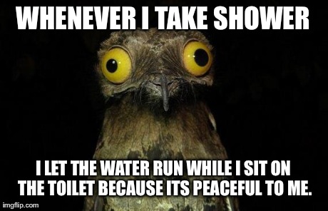 Weird Stuff I Do Potoo | WHENEVER I TAKE SHOWER I LET THE WATER RUN WHILE I SIT ON THE TOILET BECAUSE ITS PEACEFUL TO ME. | image tagged in memes,weird stuff i do potoo | made w/ Imgflip meme maker