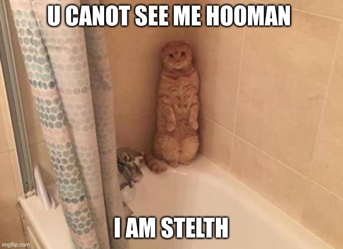 E |  U CANOT SEE ME HOOMAN; I AM STELTH | image tagged in sneaky cat | made w/ Imgflip meme maker