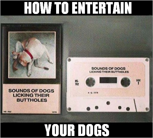 Why Would You Buy This ? | HOW TO ENTERTAIN; YOUR DOGS | image tagged in dogs,licking,entertainment | made w/ Imgflip meme maker