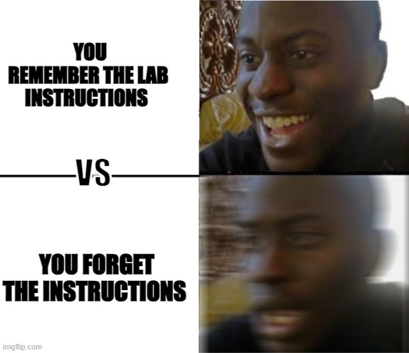 The lab instructions | YOU REMEMBER THE LAB INSTRUCTIONS; VS; YOU FORGET THE INSTRUCTIONS | image tagged in funny meme | made w/ Imgflip meme maker