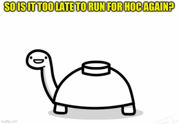just wondering | SO IS IT TOO LATE TO RUN FOR HOC AGAIN? | image tagged in mine turtle | made w/ Imgflip meme maker