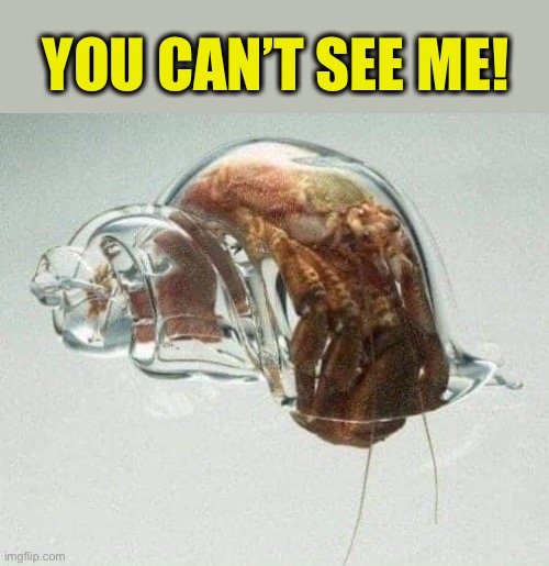 YOU CAN’T SEE ME! | made w/ Imgflip meme maker