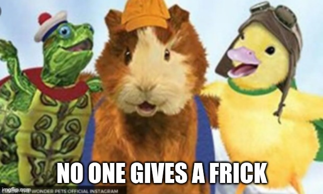 wonder pets no one gives a frick | image tagged in wonder pets no one gives a frick | made w/ Imgflip meme maker