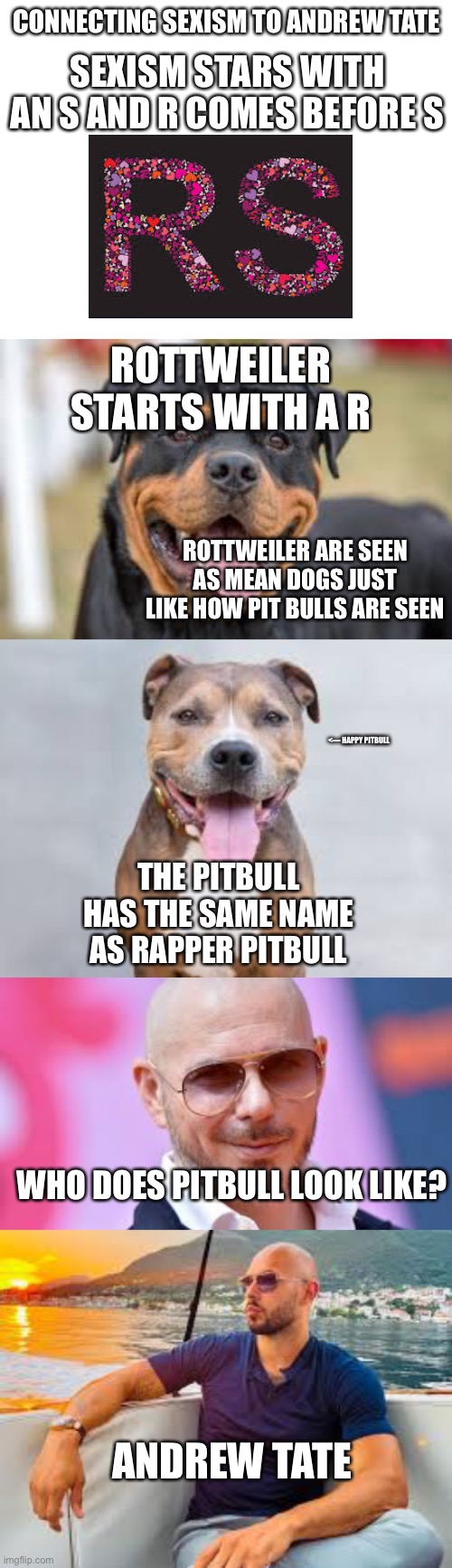 Funny title | CONNECTING SEXISM TO ANDREW TATE; SEXISM STARS WITH AN S AND R COMES BEFORE S; ROTTWEILER STARTS WITH A R; ROTTWEILER ARE SEEN AS MEAN DOGS JUST LIKE HOW PIT BULLS ARE SEEN; <— HAPPY PITBULL; THE PITBULL HAS THE SAME NAME AS RAPPER PITBULL; WHO DOES PITBULL LOOK LIKE? ANDREW TATE | image tagged in blank white template,connection,funny | made w/ Imgflip meme maker