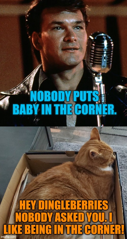 Corner Cat | NOBODY PUTS BABY IN THE CORNER. HEY DINGLEBERRIES NOBODY ASKED YOU. I LIKE BEING IN THE CORNER! | image tagged in grumpy cat,cats,patrick swayze,funny,memes | made w/ Imgflip meme maker