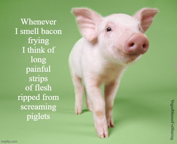 Loving Bacon Does Not Justify It | Whenever
I smell bacon
frying
I think of
long
painful
strips
of flesh
ripped from
screaming
piglets; VeganMemesForSharing | image tagged in vegan,veganism,hamburger,chicken,cheese,milk | made w/ Imgflip meme maker
