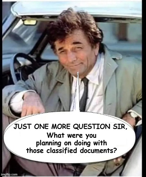 why do you have those documents? | JUST ONE MORE QUESTION SIR, What were you planning on doing with those classified documents? | image tagged in just one more thing sir | made w/ Imgflip meme maker