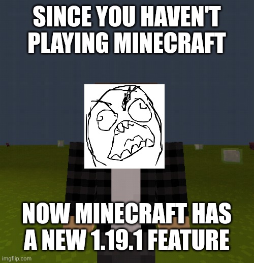 Minecraft Steve | SINCE YOU HAVEN'T PLAYING MINECRAFT; NOW MINECRAFT HAS A NEW 1.19.1 FEATURE | image tagged in minecraft steve,memes,minecraft | made w/ Imgflip meme maker
