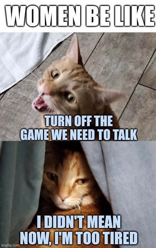 cats game over Memes & GIFs - Imgflip