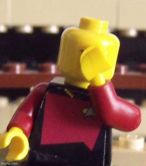 Lego Captain Picard Facepalm | image tagged in lego captain picard facepalm | made w/ Imgflip meme maker
