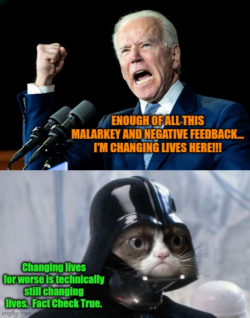  ENOUGH OF ALL THIS MALARKEY AND NEGATIVE FEEDBACK... I'M CHANGING LIVES HERE!!! Changing lives for worse is technically still changing lives.  Fact Check True. | image tagged in joe biden - nap times for everyone,memes,grumpy cat star wars | made w/ Imgflip meme maker