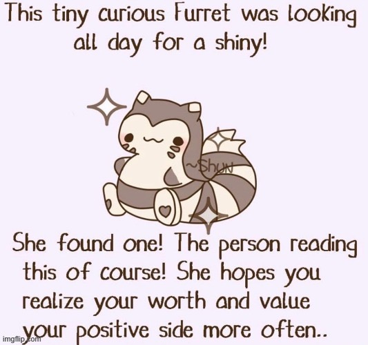 image tagged in furret | made w/ Imgflip meme maker