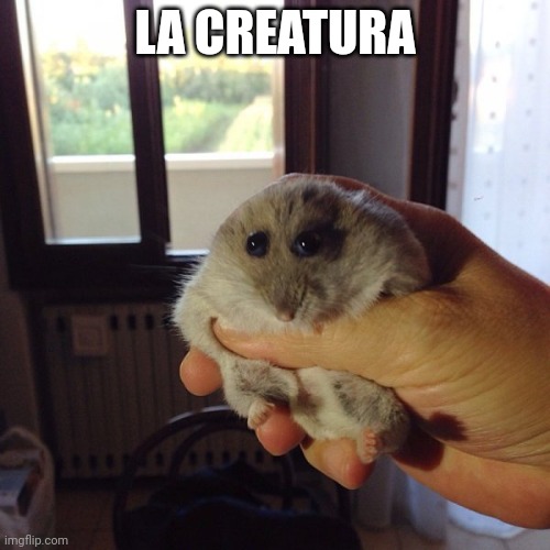The Original hampter | LA CREATURA | image tagged in the original hampter | made w/ Imgflip meme maker
