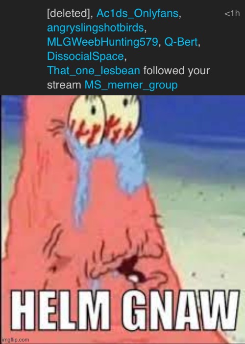 image tagged in helm gnaw | made w/ Imgflip meme maker