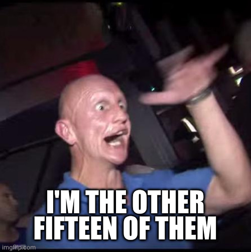 Drugs Crazy Guy | I'M THE OTHER FIFTEEN OF THEM | image tagged in drugs crazy guy | made w/ Imgflip meme maker
