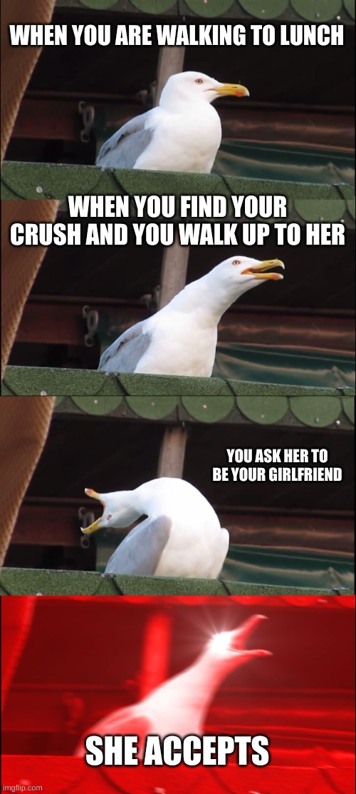 that was unexpected | WHEN YOU ARE WALKING TO LUNCH; WHEN YOU FIND YOUR CRUSH AND YOU WALK UP TO HER; YOU ASK HER TO BE YOUR GIRLFRIEND; SHE ACCEPTS | image tagged in memes,inhaling seagull | made w/ Imgflip meme maker