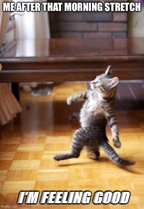 Cool Cat Stroll Meme | ME AFTER THAT MORNING STRETCH; I’M FEELING GOOD | image tagged in memes,cool cat stroll | made w/ Imgflip meme maker