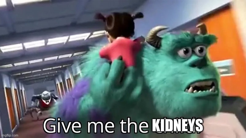 Give me the child | KIDNEYS | image tagged in give me the child | made w/ Imgflip meme maker