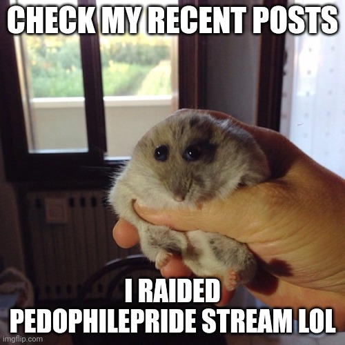 The Original hampter | CHECK MY RECENT POSTS; I RAIDED PEDOPHILEPRIDE STREAM LOL | image tagged in the original hampter | made w/ Imgflip meme maker