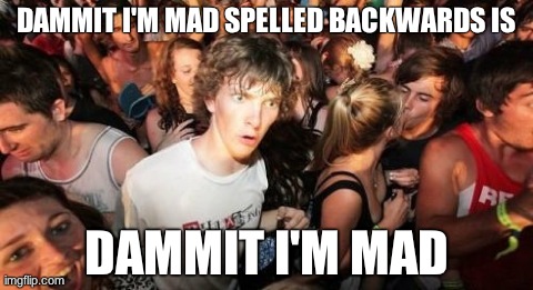 Sudden Clarity Clarence Meme | DAMMIT I'M MAD SPELLED BACKWARDS IS DAMMIT I'M MAD | image tagged in memes,sudden clarity clarence | made w/ Imgflip meme maker