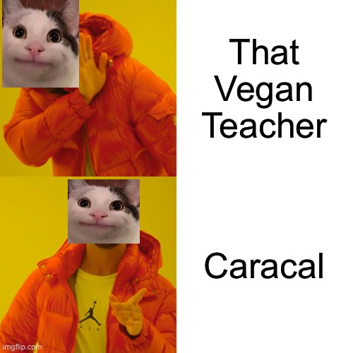 Beluga | That Vegan Teacher; Caracal | image tagged in memes,beluga | made w/ Imgflip meme maker