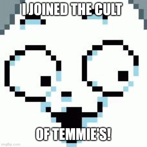 Temmie Cult Pog | I JOINED THE CULT; OF TEMMIE'S! | image tagged in temmie | made w/ Imgflip meme maker