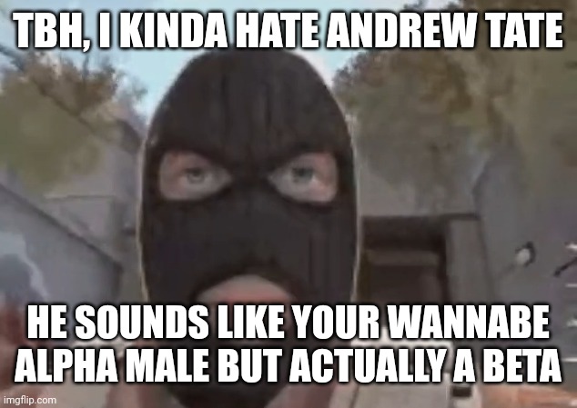 just search on yt shorts or something if you don't understand. | TBH, I KINDA HATE ANDREW TATE; HE SOUNDS LIKE YOUR WANNABE ALPHA MALE BUT ACTUALLY A BETA | image tagged in blogol | made w/ Imgflip meme maker