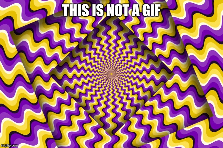I swear it’s not | THIS IS NOT A GIF | image tagged in optical illusion,crazy | made w/ Imgflip meme maker